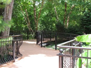 Path in the zoo