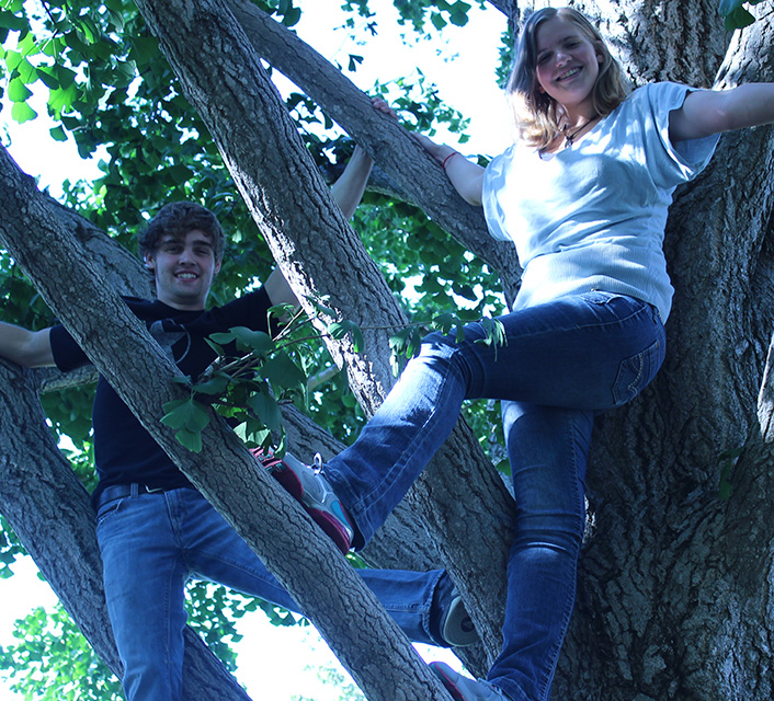 guy and girl in tree
