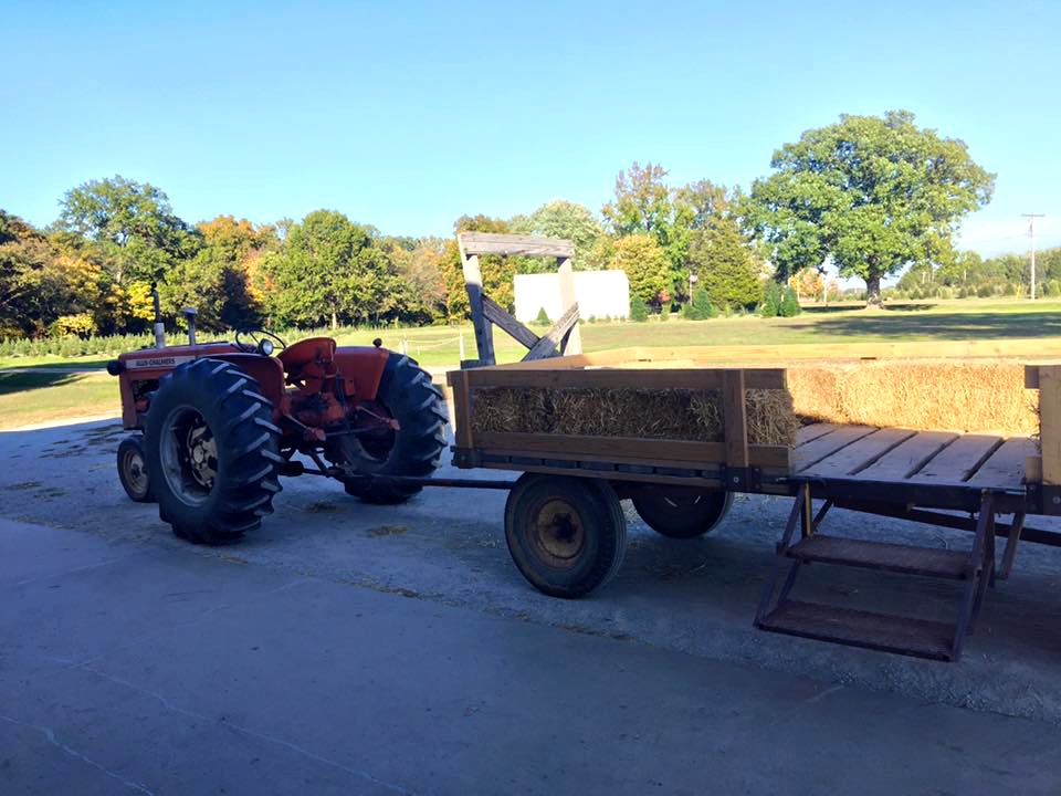 Enjoy the ride out to the pumpkin patch! Source: Kelsey Neier