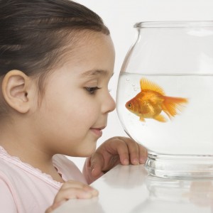 Young girl watching a fishbowl --- Image by © Royalty-Free/Corbis